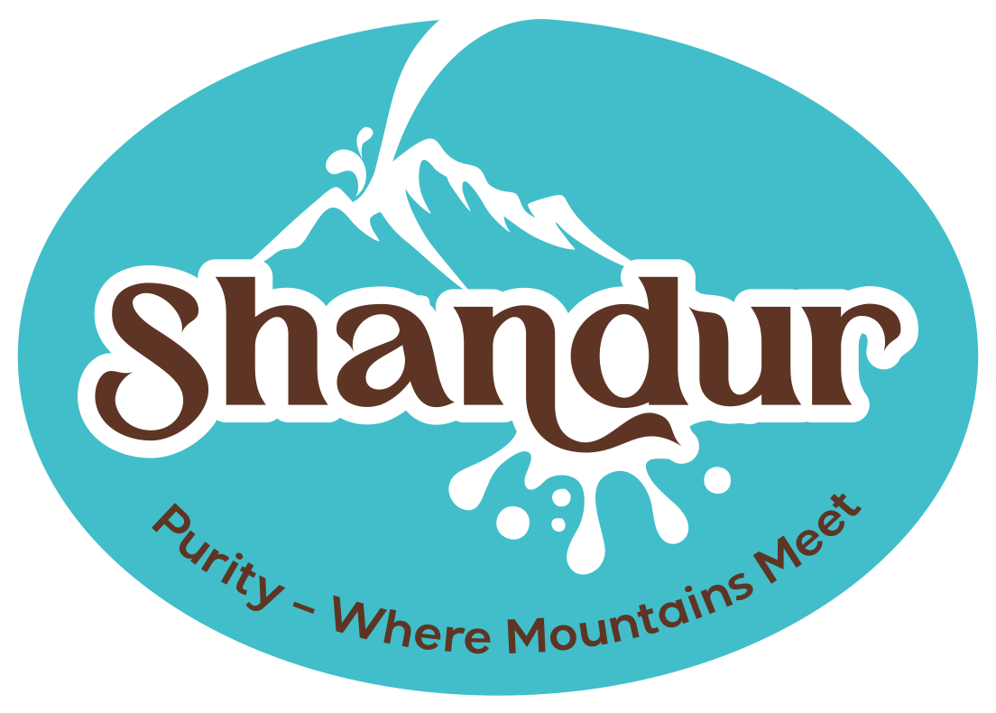 Shandur client logo